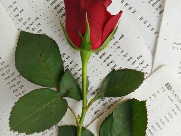 L'amore tra Romeo e Giulietta appare meno come un sentimento autentico che come l'intreccio di due infatuazioni irrisolte, alimentate dall'immaginazione, dal desiderio e dalla fascinazione reciproca