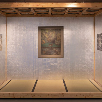 Stephen McKenna, The artist’s eye, exhibition view. Courtesy of the Douglas Hyde Gallery