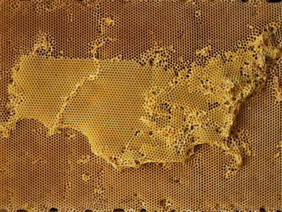 Ren Ri, Yuansu Series I #04 Russia, 2007-08, Natural beeswax, wood, wire, 73 x 57 x 5 cm