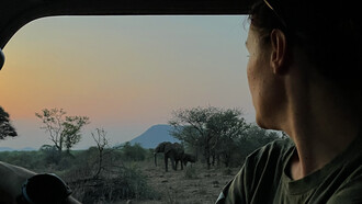 Elefanti in natura. La vista del tramonto dal Baobab, una scena che non dimenticherò mai. Poco prima che un branco di elefanti camminò sotto di noi per raggiungere la pozza d’acqua poco più avanti. Africa
