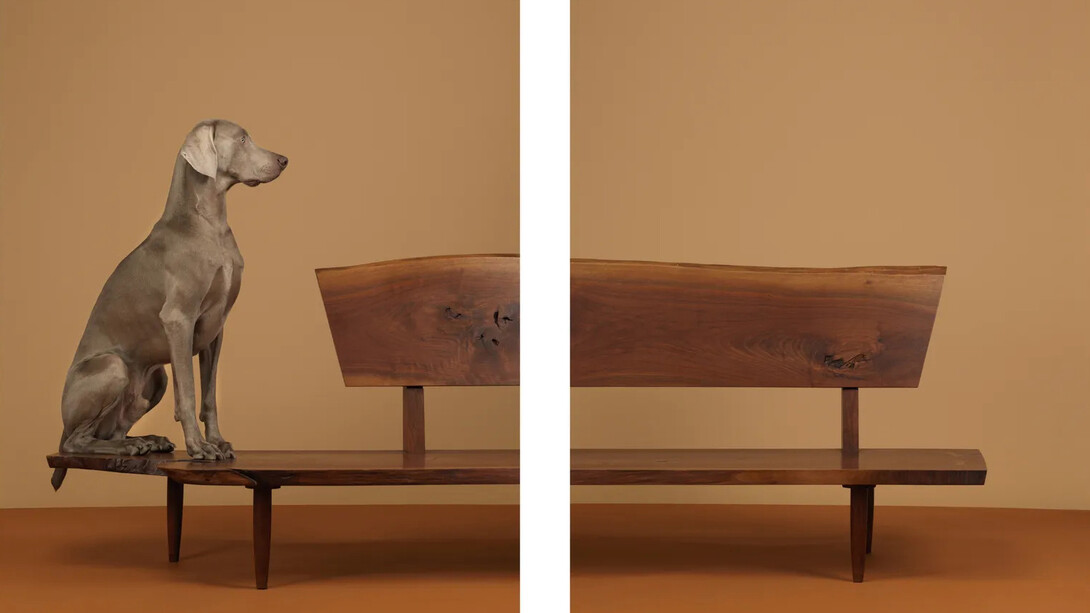 William Wegman, Looking over, 2015. Courtesy of Lisa Sette Gallery