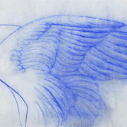 Omar Galliani, Blu dellangelo, 1982. Per gentile concessione della Mangano Galleria d’Arte di Cremona