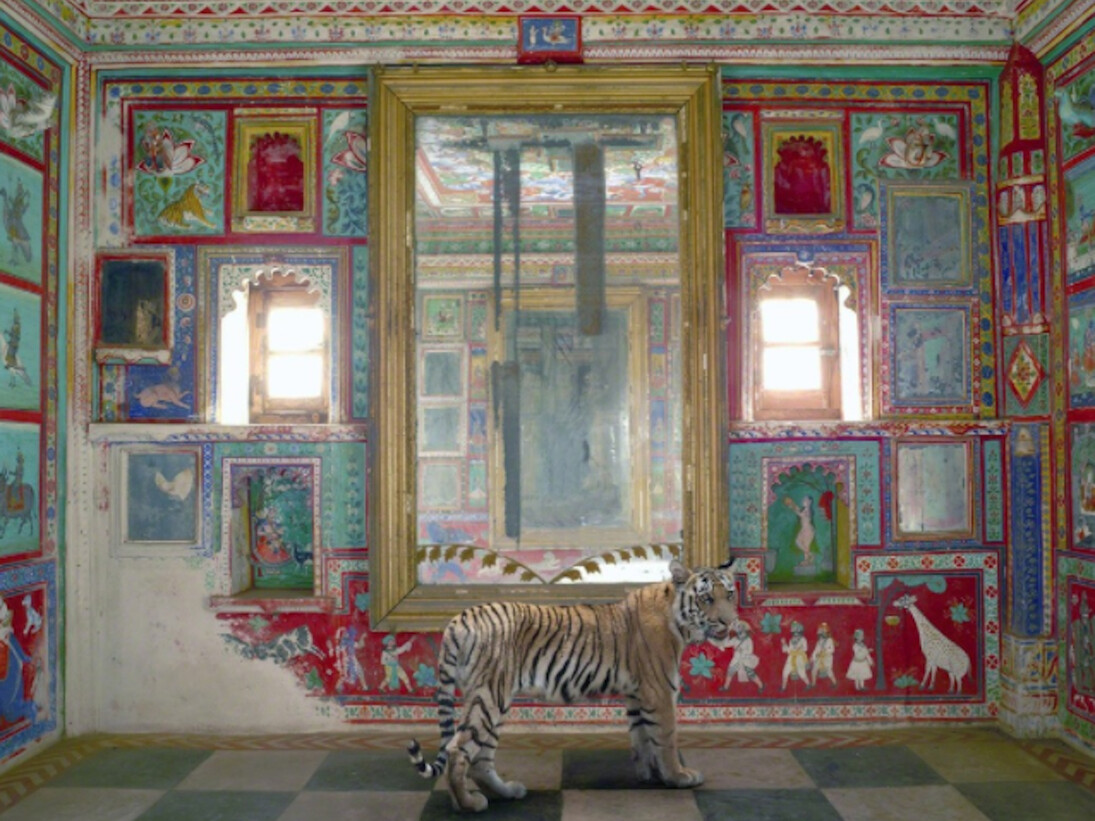 Karen Knorr. Courtesy of Danziger Gallery