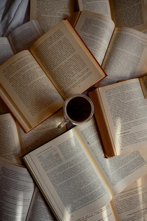 Las historias reales permiten acercarse a problemáticas sociales, procesos históricos y movimientos culturales complejos