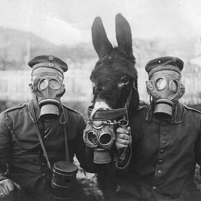 Ginestra Sabina ricorda la prima guerra mondiale e i suoi caduti, Casa della Memoria e della Storia