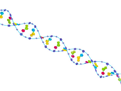 DNA Discovery Center. Courtesy of Field Museum