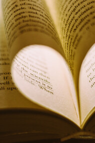 Para desarrollar una comunicación clara se debe conocer los mecanismos discursivos, estructuras y elementos de la exposición, la argumentación y la instrucción