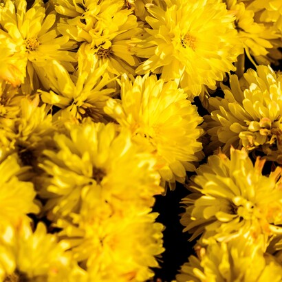 Nel sud dell’India esistono aree rurali dove molte famiglie vivono ancora in condizioni di povertà, con accesso limitato a istruzione, sanità e servizi di base