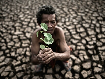 A man kneels on cracked, barren earth, holding a small green plant in his weathered hands, a stark contrast between life and desolation