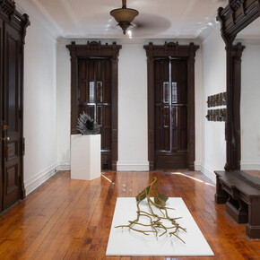 Helen Evans Ramsaran, Strange fruit, exhibition view. Courtesy of Welancora Gallery