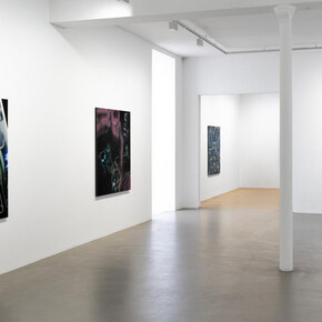 Seth Price, Free fall, exhibition view. Courtesy of Galerie Chantal Crousel