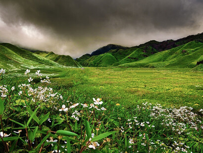 Kohima Dzuko Valley Hill Station