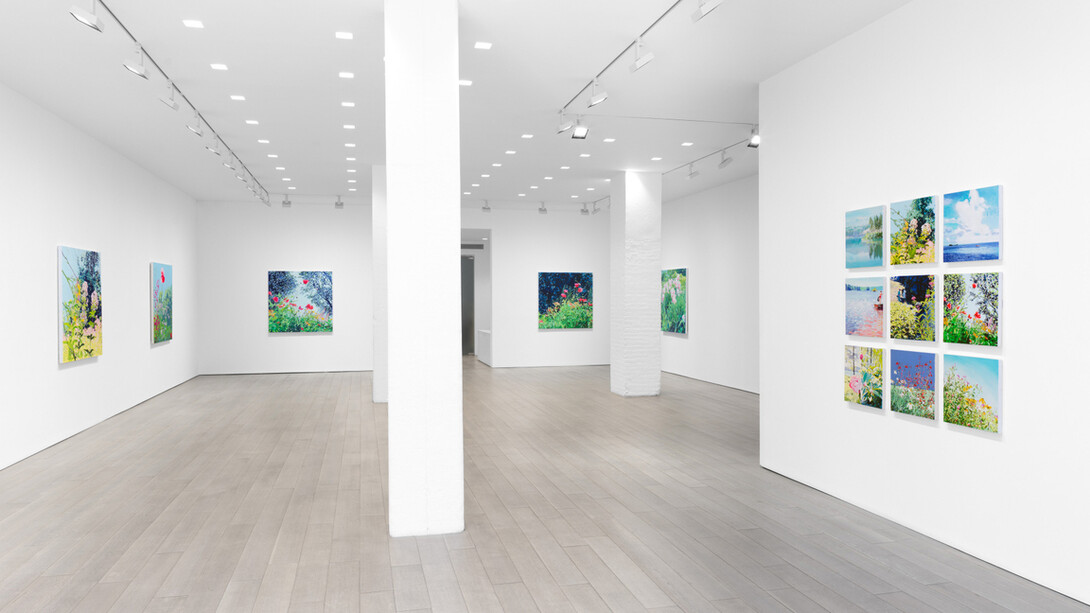 Isca Greenfield-Sanders, The language of flowers, exhibition view. Courtesy of Miles McEnery Gallery