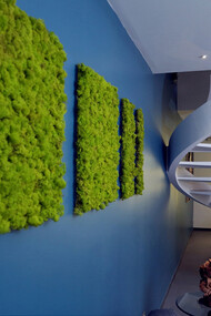 Green shapes with the view on the staircase. Photo by Giuseppe Fricano