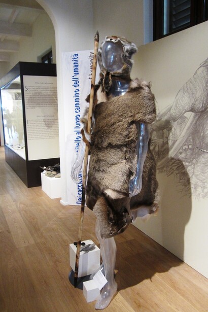 Museo Paleontologico di Montevarchi (AR)