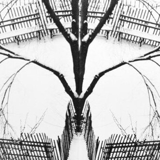 André Kertész. Courtesy of Bruce Silverstein Gallery