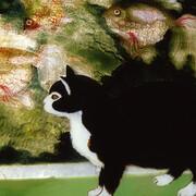 Georges Manzana-Pissarro (1871-1961), Chat et Poissons, Huile sur verre peint au recto juxtaposé sur un fond cartonné recouvert de feuilles d’argent, 48,5 x 55 cm, Signé en bas à gauche, Musée Alphonse-Georges Poulain, Vernon - Inv. 91.5.1