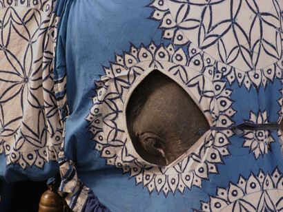 Elephant dressed in batik for the Diyakapana Paegant in Sri Lanka © Gehan de Silva Wijeyeratne