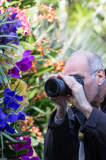 New York Botanical Garden Orchid Show