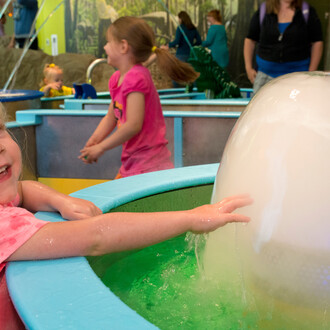 Discovery Zone. Courtesy of Denver Museum of Nature & Science