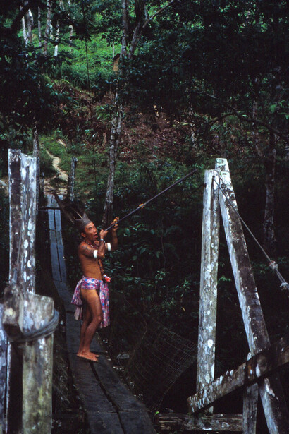 Dayak a caccia con la cerbottana