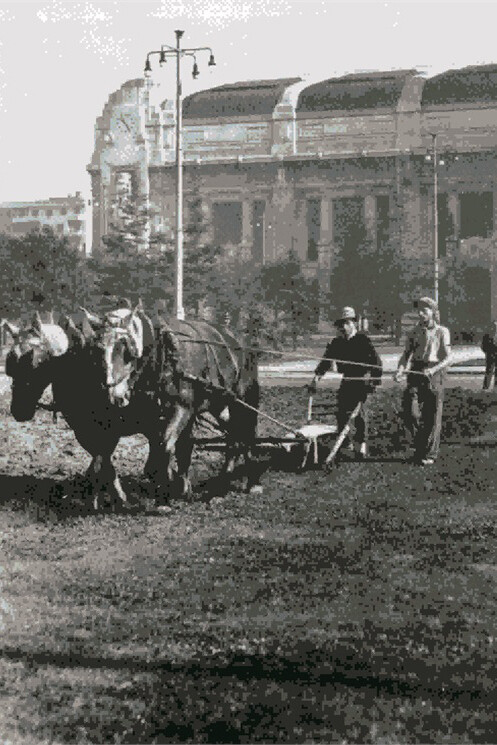Agricoltura in città, Milano, Stazione Centrale, Collezione privata Luigi Borgomaneri
