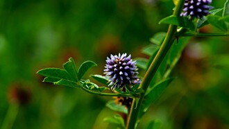 Lisa si lascia cadere sul divano, sfinita, e scopre che anche la seduta è rigida come la sua giornata