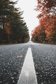 An autumn road on a cloudy day