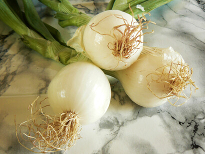 Cipollotti freschi