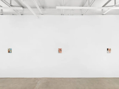 Jesse Zuo, Photosynthesis, exhibition view. Courtesy of Piero Atchugarry Gallery