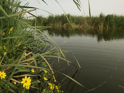 Reserva Natural Integral y Mixta Laguna de Rocha, Esteban Echeverría, Provincia de Buenos Aires, Argentina