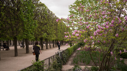 Parque en Paris. Cerca del parque que más paseé con ella, la recuerdo sin más y pienso que hoy tiene que ser el día, hoy tengo que atreverme con su libro, ese manuscrito que me entregó hace muchos días.