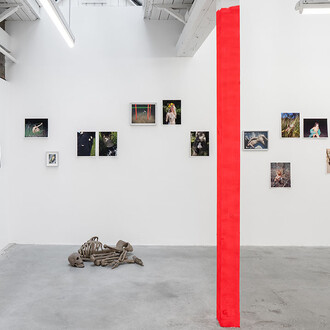 Viviane Sassen and Emmeline De Mooij, Frau holle, exhibition view. Courtesy of Stevenson