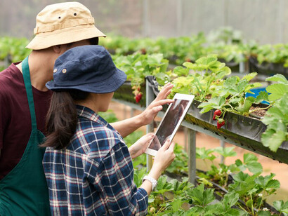 Two farm coworkers in a greenhouse, analyzing data on a tablet that integrates AI-driven meal planning and genomic nutrition, bridging sustainable farming with personalized, DNA-based diets