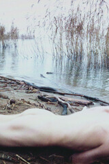 Frédéric Fontenoy M#21