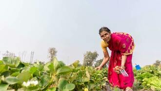Nagpur, Maharashtra, India. Female farmers working in the fields, reflecting the struggles of rural poverty in the Global South