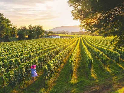 La Franciacorta, terra del prezioso vino considerato il più pregiato tra gli spumanti 
 italiani 