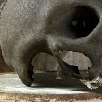 Historical Gallery. Courtesy of Museo di Storia Naturale