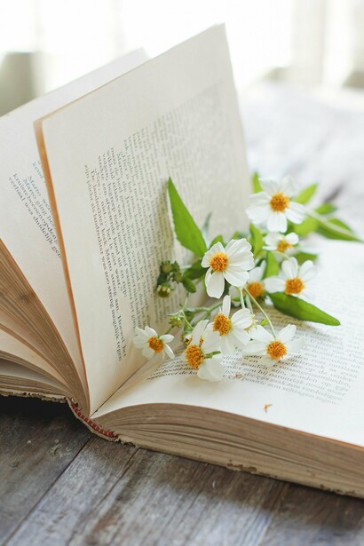 A voz poética, inquieta e desconcertante, desfila em seus versos o que primeiro impulsionou sua manifestação. A fonte de inspiração da poesia é o sentimento. Todos os sentimentos. Do corpo e da alma