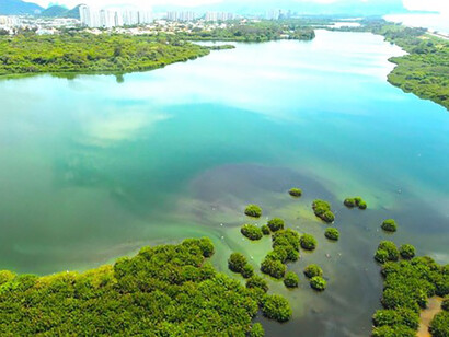 As consequências dum modelo