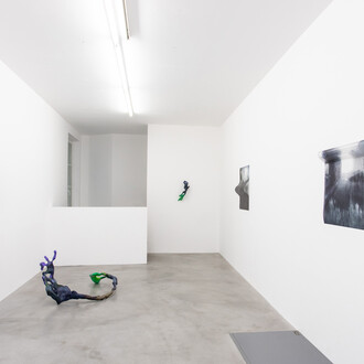 Marie Lelouche, Nonuments, vue de l'exposition. Avec l'aimable autorisation de la Galerie Alberta Pane