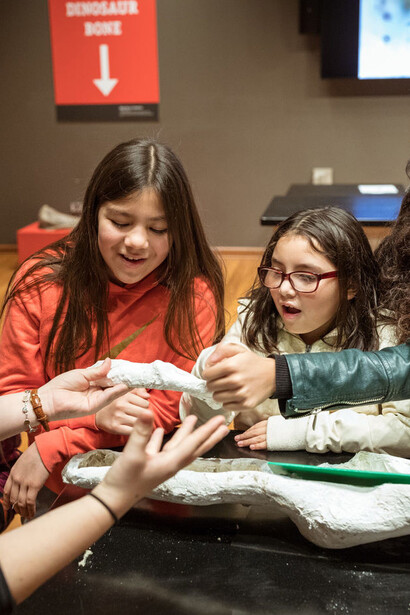 Grainger Science Hub. Courtesy of Field Museum