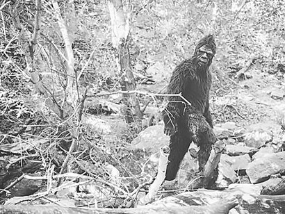 Embark on a mysterious journey through the woods and forest, encountering the enigmatic Bigfoot Sasquatch