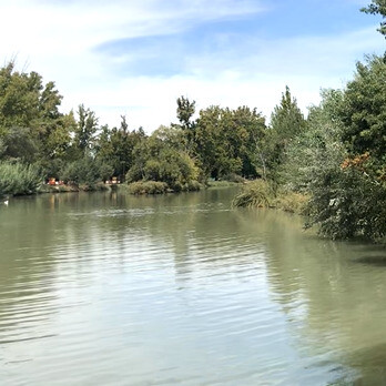 El río Tajo, en un recodo dentro del Jardín del Príncipe. Foto: Luko Hilje
