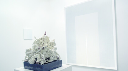 Bertozzi&Casoni e Gianfranco Zappettini, installazione