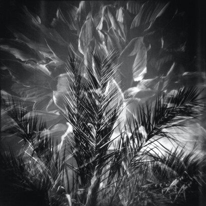 Lisa Tang Liu and J. David Tabor. Courtesy of Panopticon Gallery