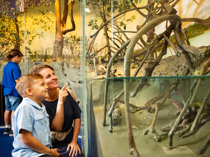 At home in the tropics, exhibition view. Courtesy of Queensland Museum Tropics