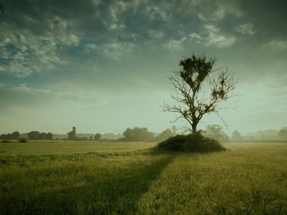 La distopía, como antítesis de la utopía, es un recurso narrativo