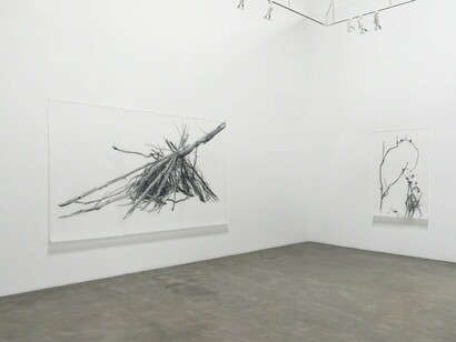 Lynn Hanson's Wrack & Bramble, Exhibition view. Courtesy of Lora Schlesinger Gallery