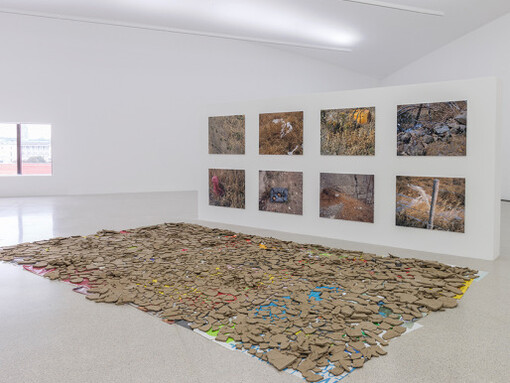 Natural Histories, Exhibition view. Courtesy of Mumok 